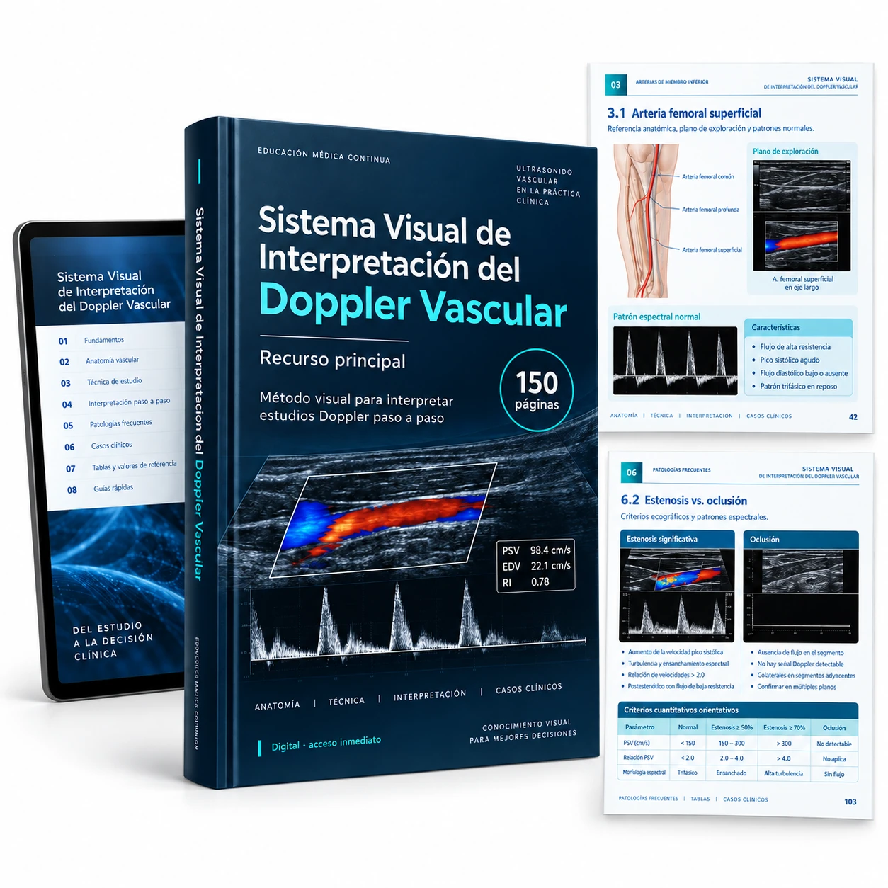 Mockup digital: Sistema Visual de Interpretación de la Radiografía de Tórax