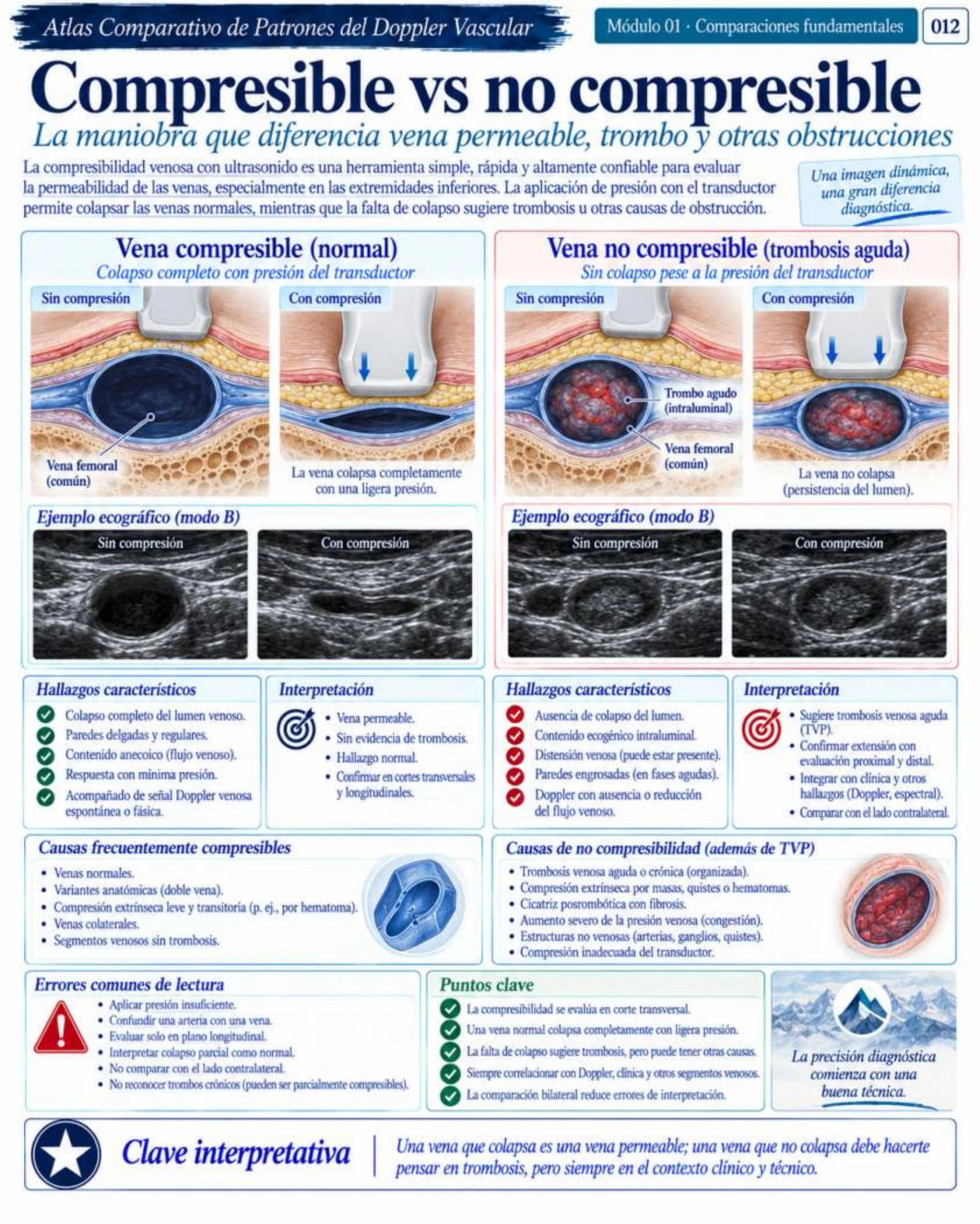 Página 12: Proyección PA vs. AP. Muestra del material digital de radiografía de tórax.