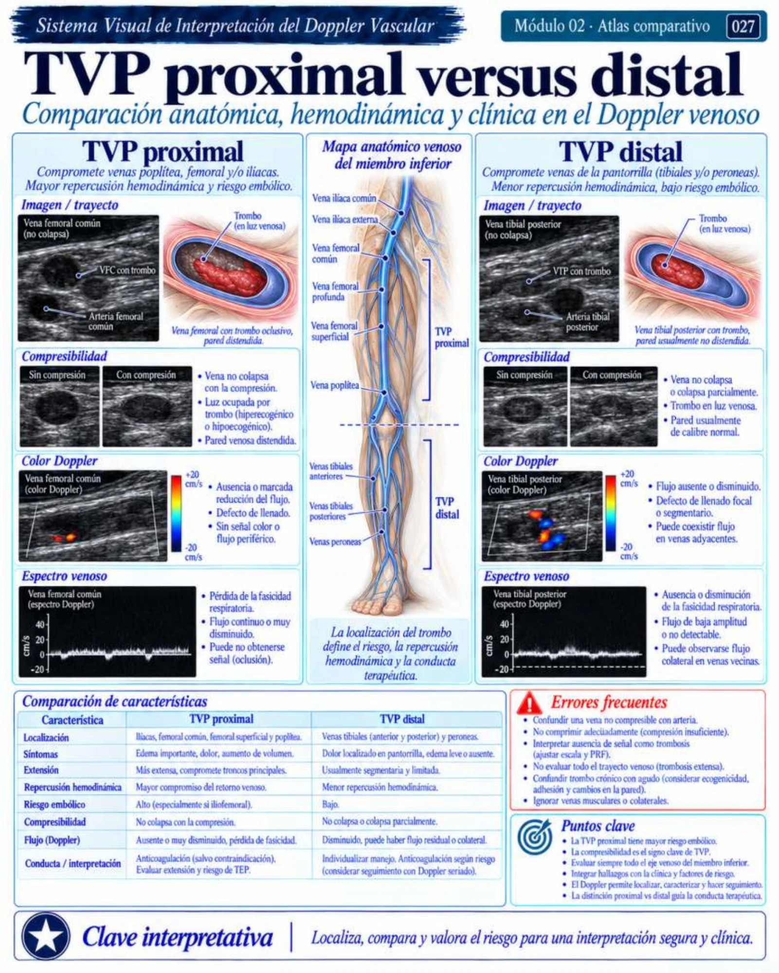 Página 27: Edema pulmonar vs. neumonía. Muestra del material digital de radiografía de tórax.