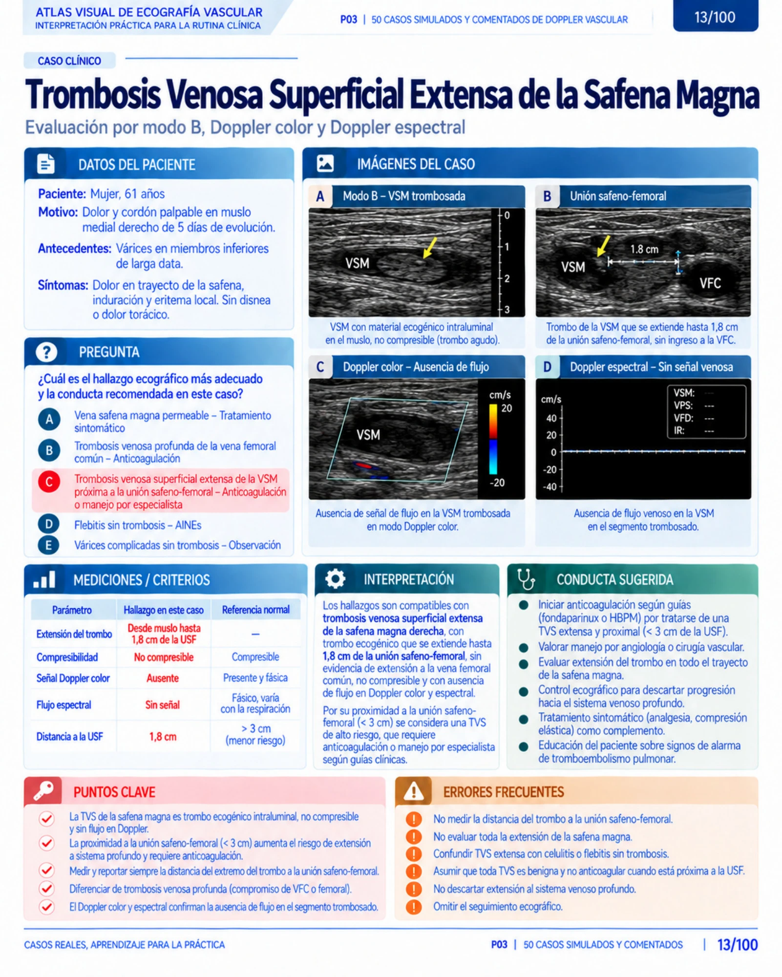 Página 13: Caso: neumotórax espontáneo. Muestra del material digital de radiografía de tórax.