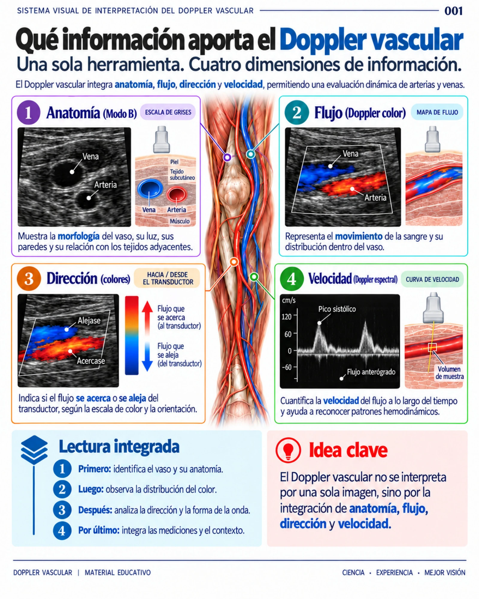Página 1: Qué información aporta una radiografía de tórax. Muestra del material digital de radiografía de tórax.