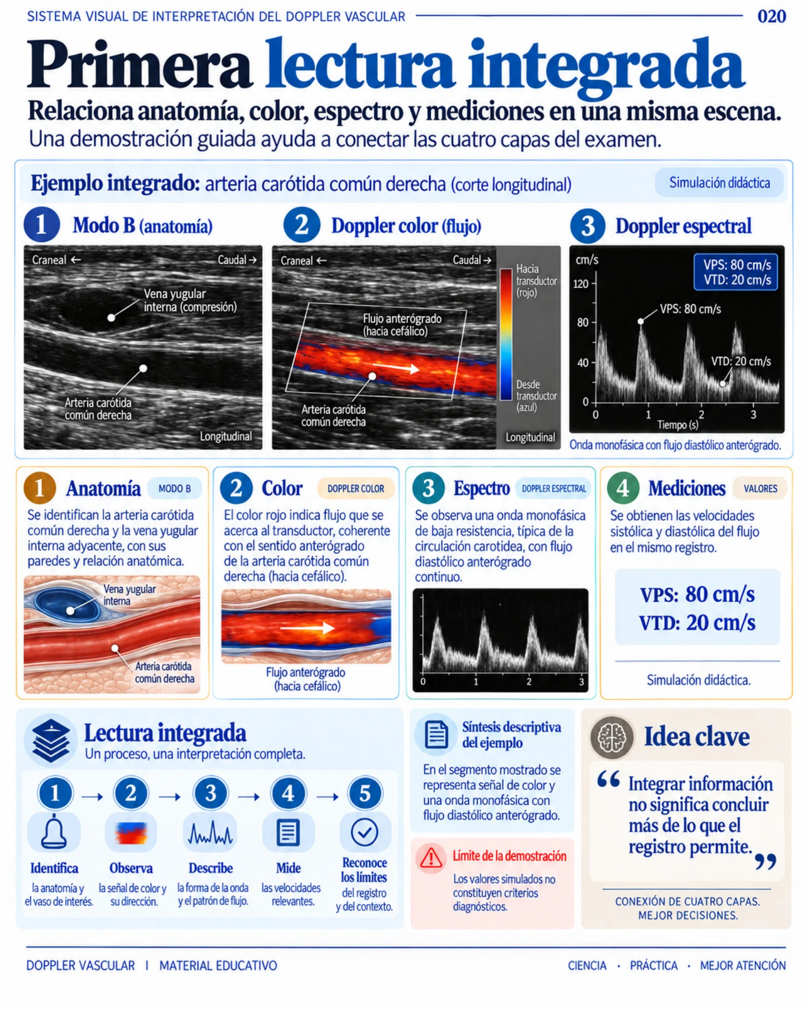 Página real del Sistema Visual: secuencia de lectura de la radiografía de tórax, con técnica, anatomía, patrones y contexto clínico.