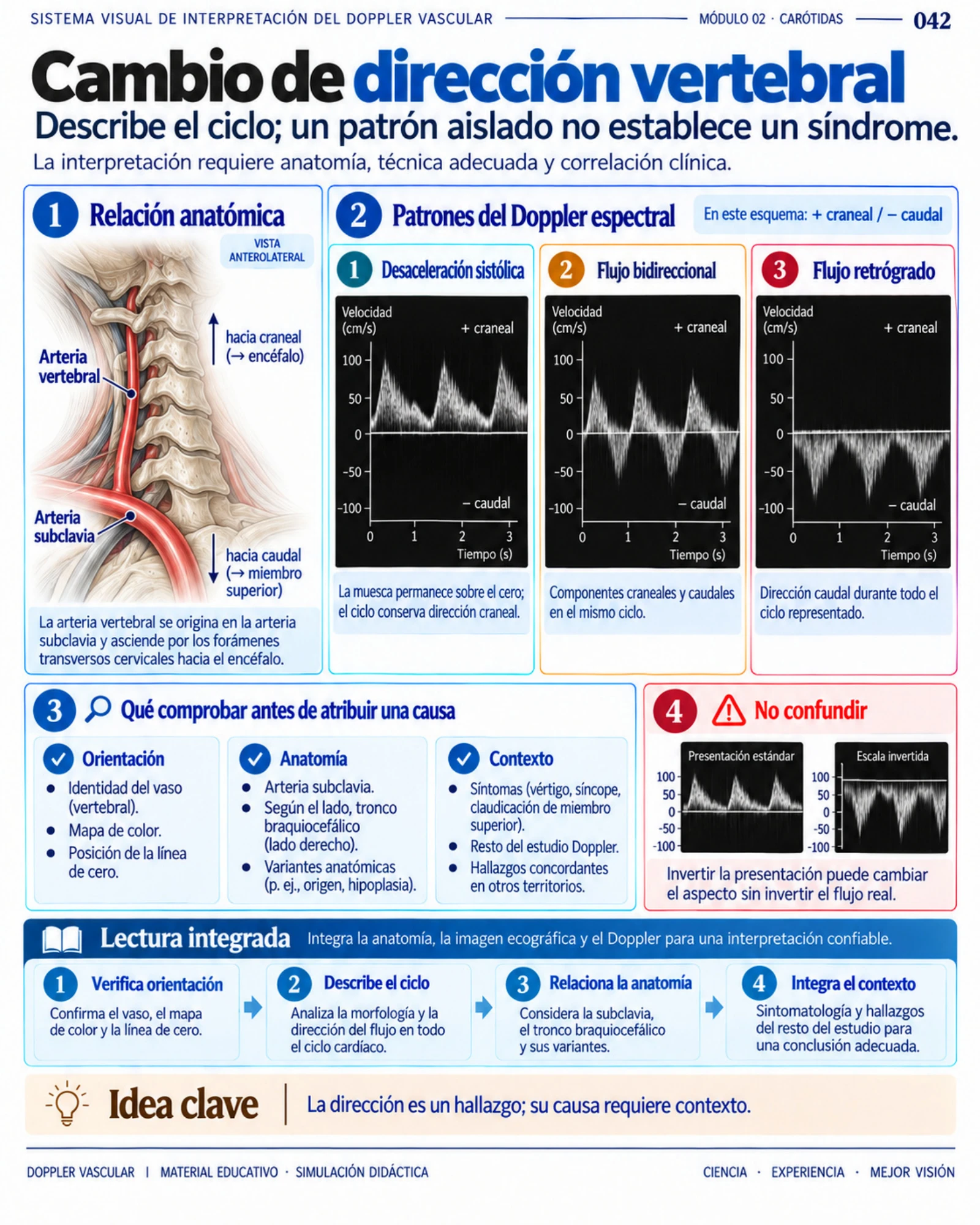 Página 42: Patrón alveolar vs. intersticial. Muestra del material digital de radiografía de tórax.