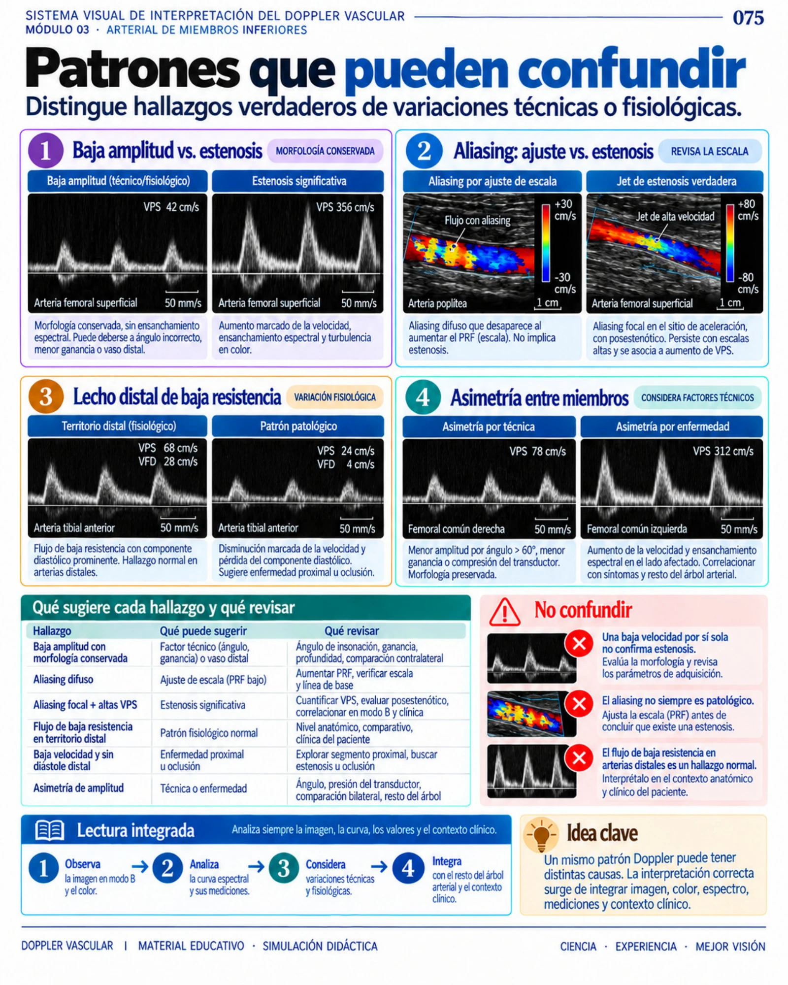 Página 75: Consolidación vs. atelectasia. Muestra del material digital de radiografía de tórax.